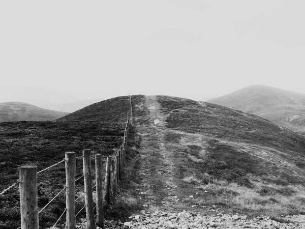 Magic Studio AI: Unleash Creative Abstract Art Expression